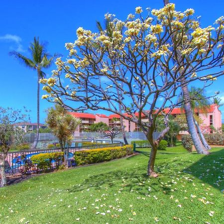 Maui Vista 3105 Leilighet Kihei Eksteriør bilde