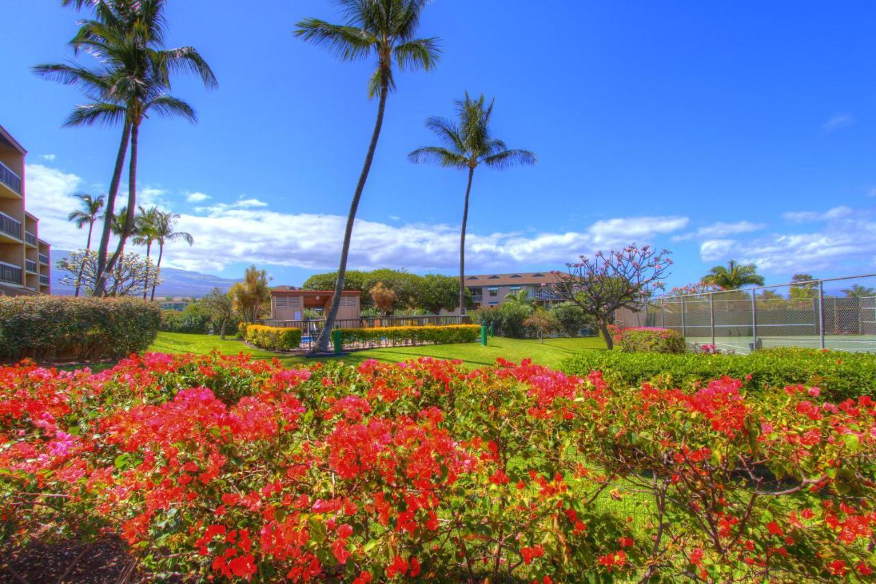 Maui Vista 3105 Leilighet Kihei Eksteriør bilde