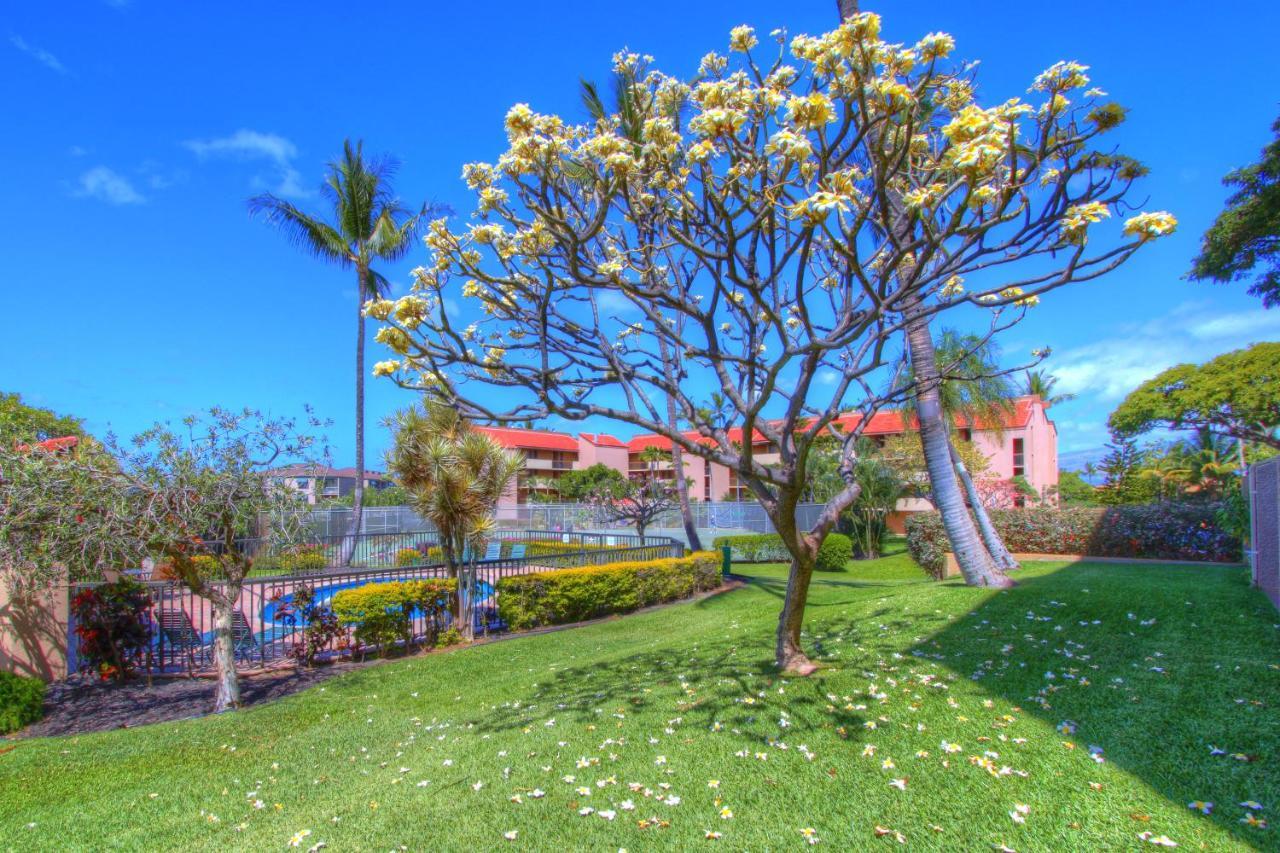 Maui Vista 3105 Leilighet Kihei Eksteriør bilde