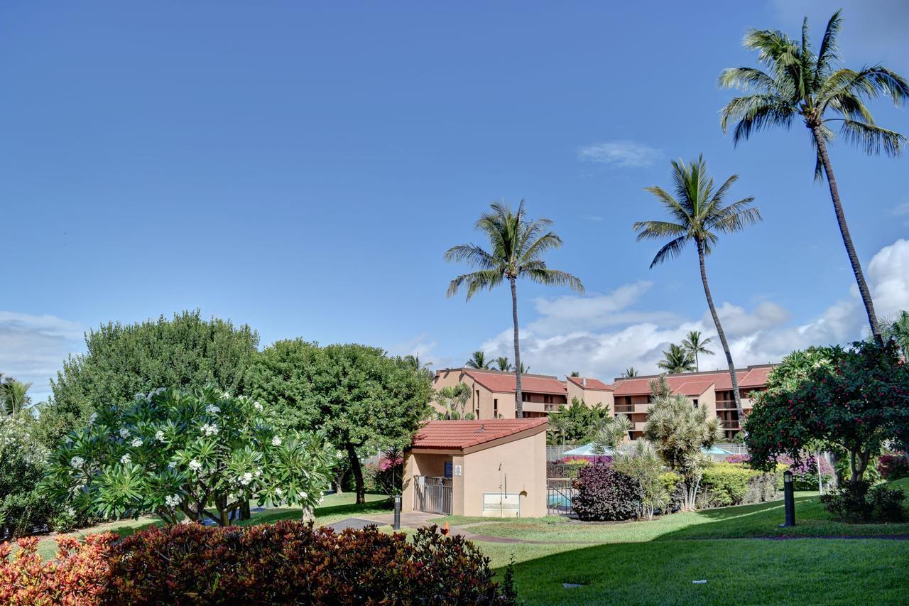 Maui Vista 3105 Leilighet Kihei Eksteriør bilde